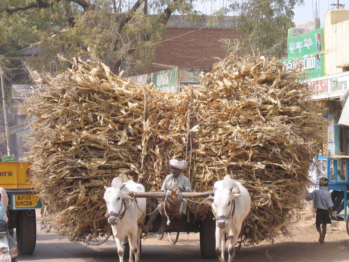 Yemigannur India Outreach gospel crusade evangelist Patrick Hoban